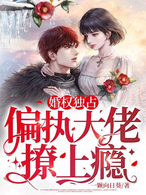 婚权独占:偏执大佬撩上瘾