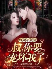 宠妻上瘾:江少人生新篇章