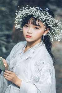 精品选集科举走后门,连中三元震惊无数学子