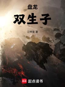 盘龙:双生子