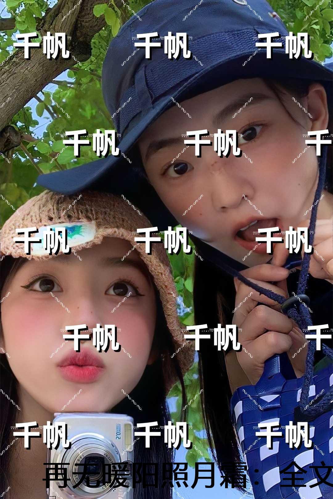 再无暖阳照月霜：结局+番外必读文